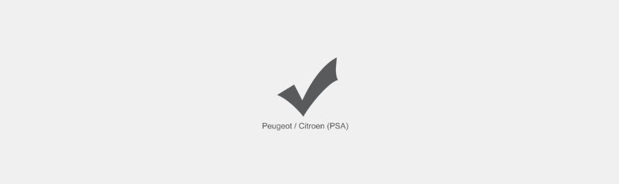 Peugeot / Citroen (PSA)