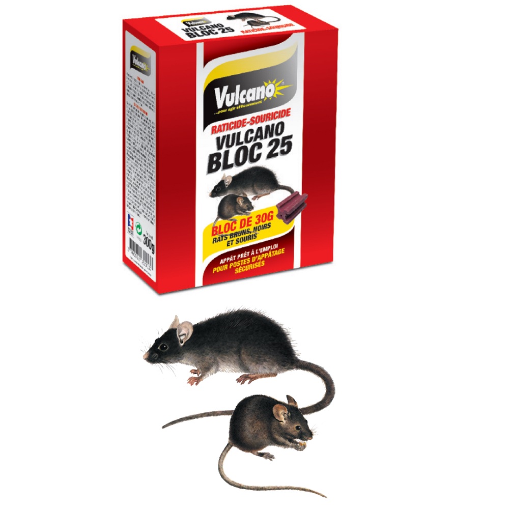 PATE APPAT VULCANO pâte fraiche rodenticide contre les rats, les